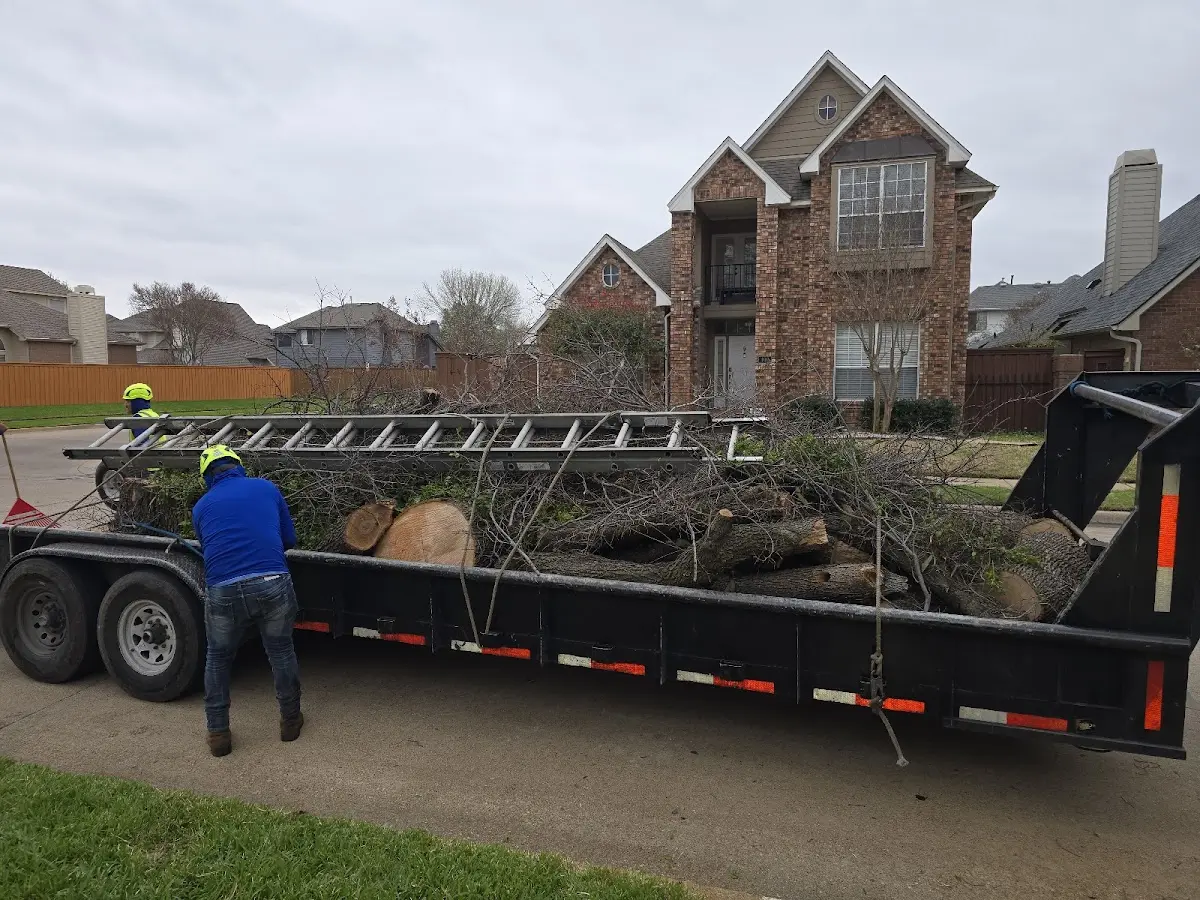 Expert Tree Fertilization with proper safety equipment in Anita